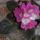 Schrancz_erika-002_1229049_8831_t