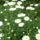 Schrancz_erika-004_1229047_4734_t