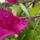 Vendegsegben-001_1229709_3969_t