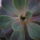 _4_1220353_3045_t