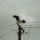 Csak_sikeruljon_1202328_5059_t