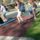 A_balatonnal__17-001_1231724_3311_t