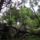 Agsvari_ut_1231896_1943_t