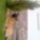 Fenykep0064_1231612_1592_t
