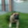 Fenykep0081_1231609_2214_t