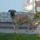 S6301850_1231616_5805_t