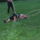 Vadalmason__10-001_1231565_1537_t