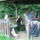 Vadalmason__10_1231546_7327_t