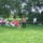 Vadalmason__11-003_1231639_3038_t