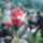 Vadalmason__12_1231548_8526_t