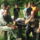 Vadalmason__13-003_1231641_4817_t