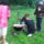 Vadalmason__18_1231573_5179_t