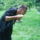 Vadalmason__1_1231537_1906_t