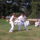 Beled_20110820-121_1232726_9377_t