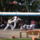 Beled_20110820-177_1232782_6254_t
