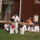 Beled_20110820-178_1232783_2630_t