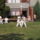 Beled_20110820-179_1232784_4538_t