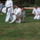 Beled_20110820-181_1232786_1389_t