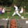Beled_20110820-189_1232794_6299_t