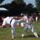 Beled_20110820-194_1232799_6630_t