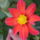 Delia-001_1232840_9378_t