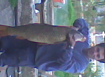 Sajó 2