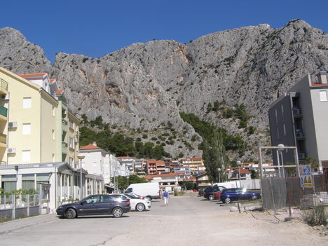 Omis