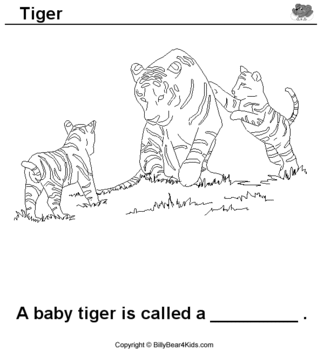 RAJZ tiger-baby