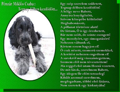 Pénzár Miklós Csaba:Tegnap délben kezdődött...
