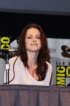 2011 July 21 - Comic Con Press Conference 17