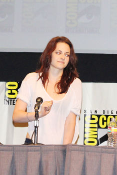 2011 July 21 - Comic Con Press Conference 4