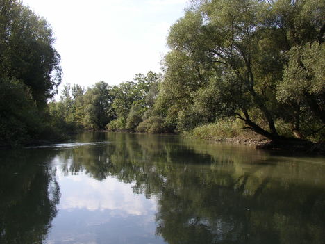 Mosoni-Duna, Halászi feletti szakasz
