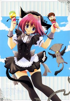 neko-anime-animal-girls-6678881-1673-2400
