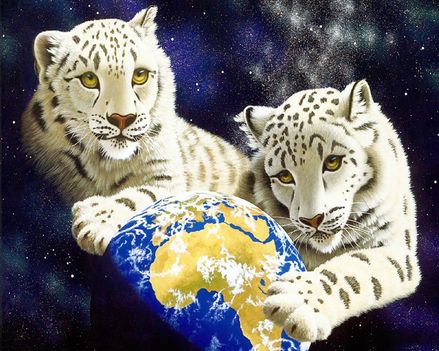 RAJZ baby-white-tigers_1280x1024_3145