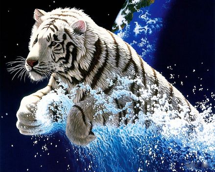 RAJZ tiger-splash_1280x1024_3151