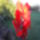 Sam_0237_1230199_5010_t
