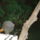 Jo_8_1241060_7419_t