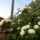 Fenykep0755_1242753_4115_t