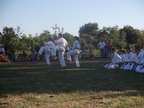 Szilsárkány 2011.09.03