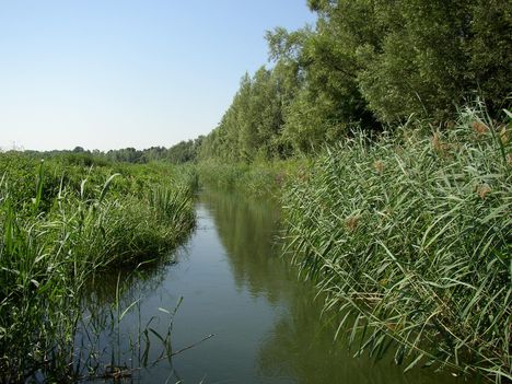 Lipót, Gombócos-Bár-Duna csatorna felső szakasza