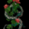 298704 kígyózó rózsa