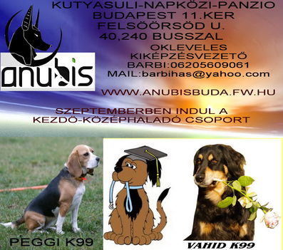 anubis kutyasuli napközi panzio