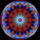 Mandi_4_1244749_5198_t