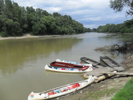 Szőke Tisza