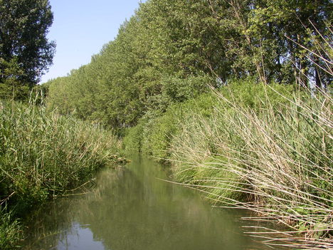 Zsejkei csatorna Ásványráró belterület feletti szakasza