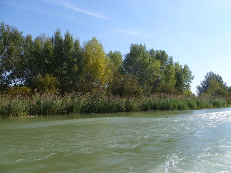 Hullámtéri vízpótlórendszer, Görgetegi ág, Dunakiliti, 2011. szeptember 02.-án
