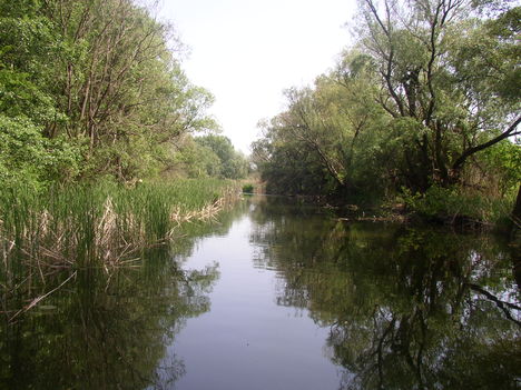 Nováki csatorna, Püski és Darnózseli községek közigazgatási határán, 2003. május 03.-án
