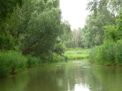 Dunakiliti, Hullámtéri vízpótlórendszer, Szigetparti-ág (5), 2011. július 15.-én