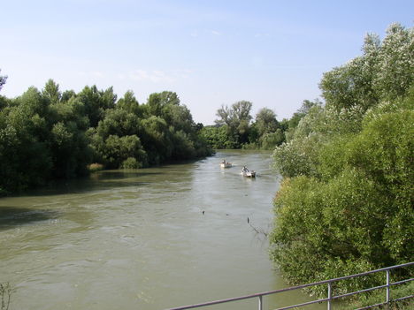 Mosoni-Duna, Rajka, Az ún. VI. zsilip alvízén, 2003. június 23.-án