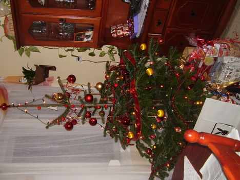 Karácsony 2008 016